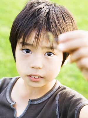 2026年最新ガイド:今帰仁村で楽しむカヤック体験と絶景スポット