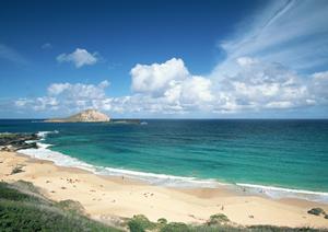 【2025年最新版】熊本で釣りを楽しむための究極ガイド?おすすめスポットとテクニック