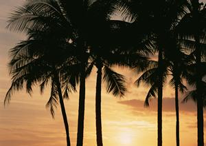 帯広駅から徒歩3分！東横INNとかち・帯広駅前の魅力と最新情報